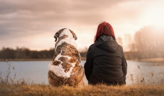 La morte del proprio cane lede di per sé beni costituzionali e genera danno non patrimoniale